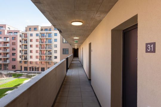 NewsG_Barbara_Prammer_Allee4