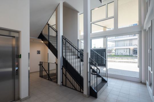 NewsG_Barbara_Prammer_Allee5