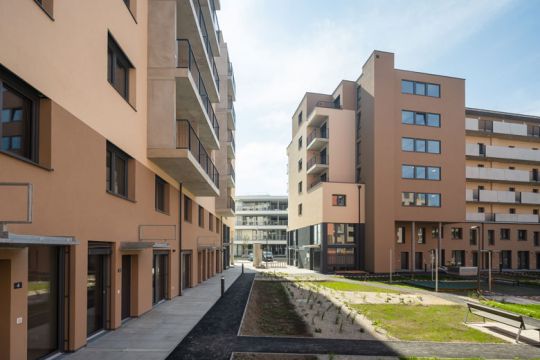 NewsG_Barbara_Prammer_Allee6