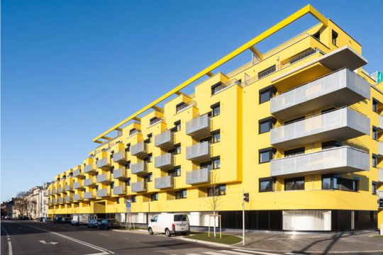 NewsG_Leo131_taxonomie1